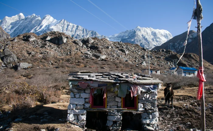 Langtang-valley-trek-nepal-adventure-trail