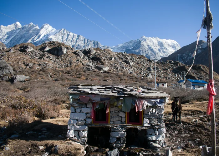 Langtang-valley-trek-nepal-adventure-trail