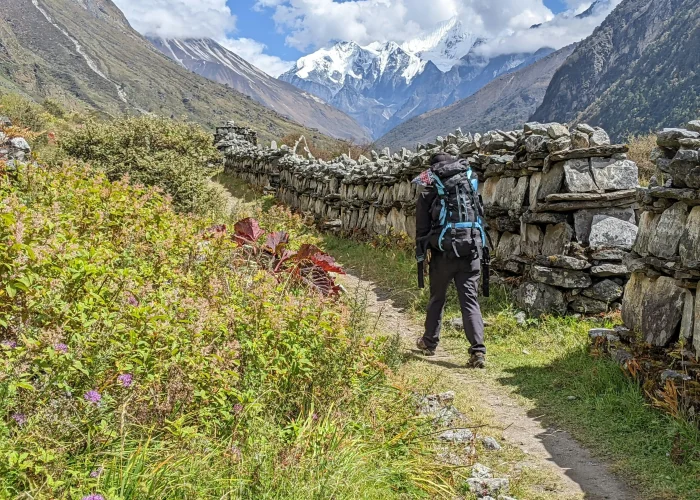 Langtang-valley-trek-nepal-adventure-trail