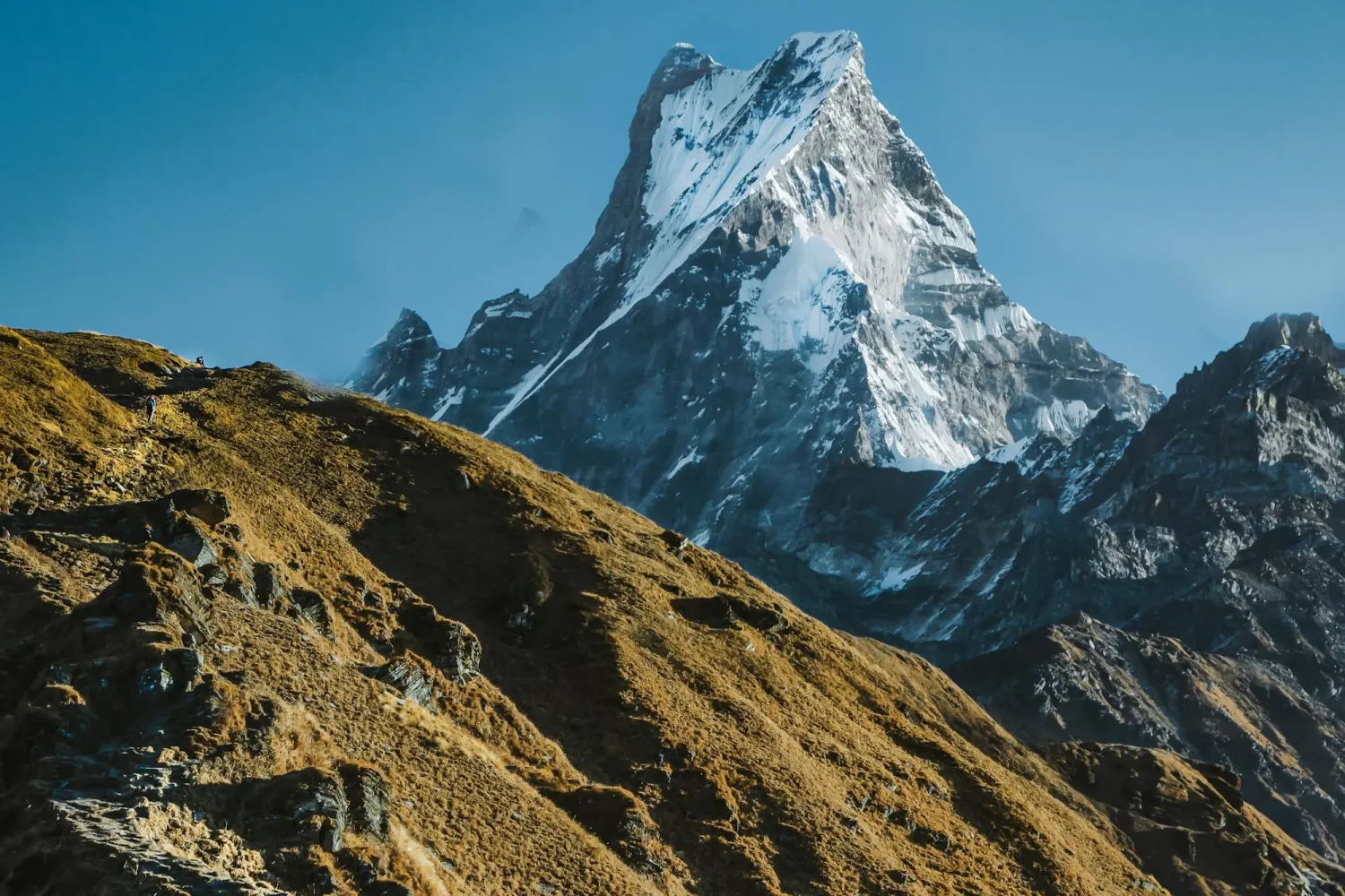 Mardi Himal Base Camp Trek: Ultimate Guide | Map, Itinerary, Cost & Essential Tips - 10 Days