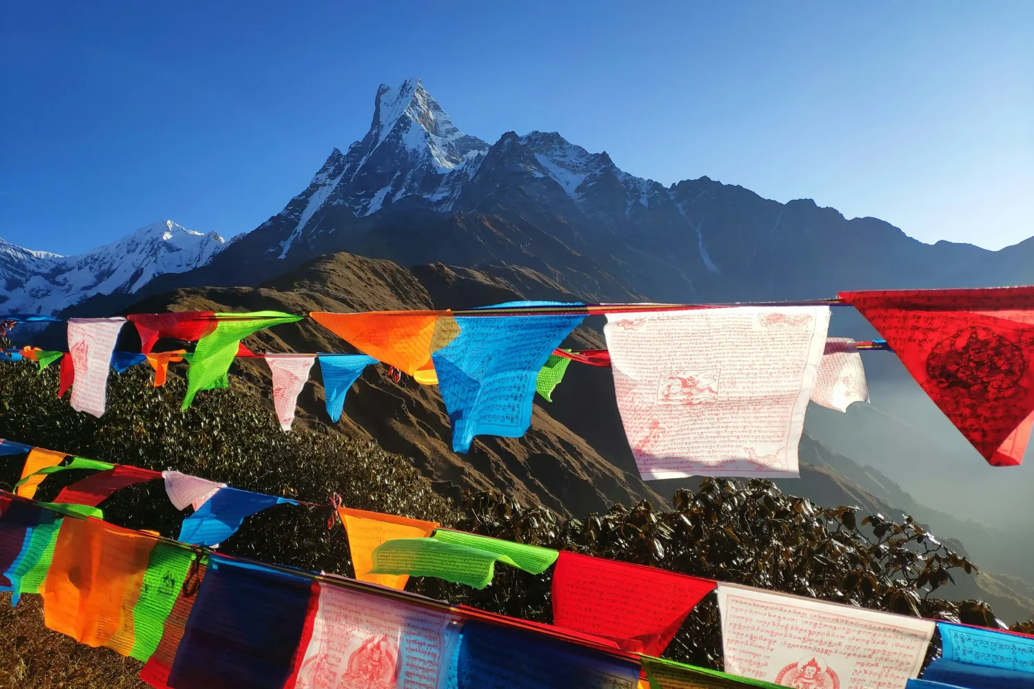Mardi Himal Base Camp Trek: Ultimate Guide | Map, Itinerary, Cost & Essential Tips - 10 Days