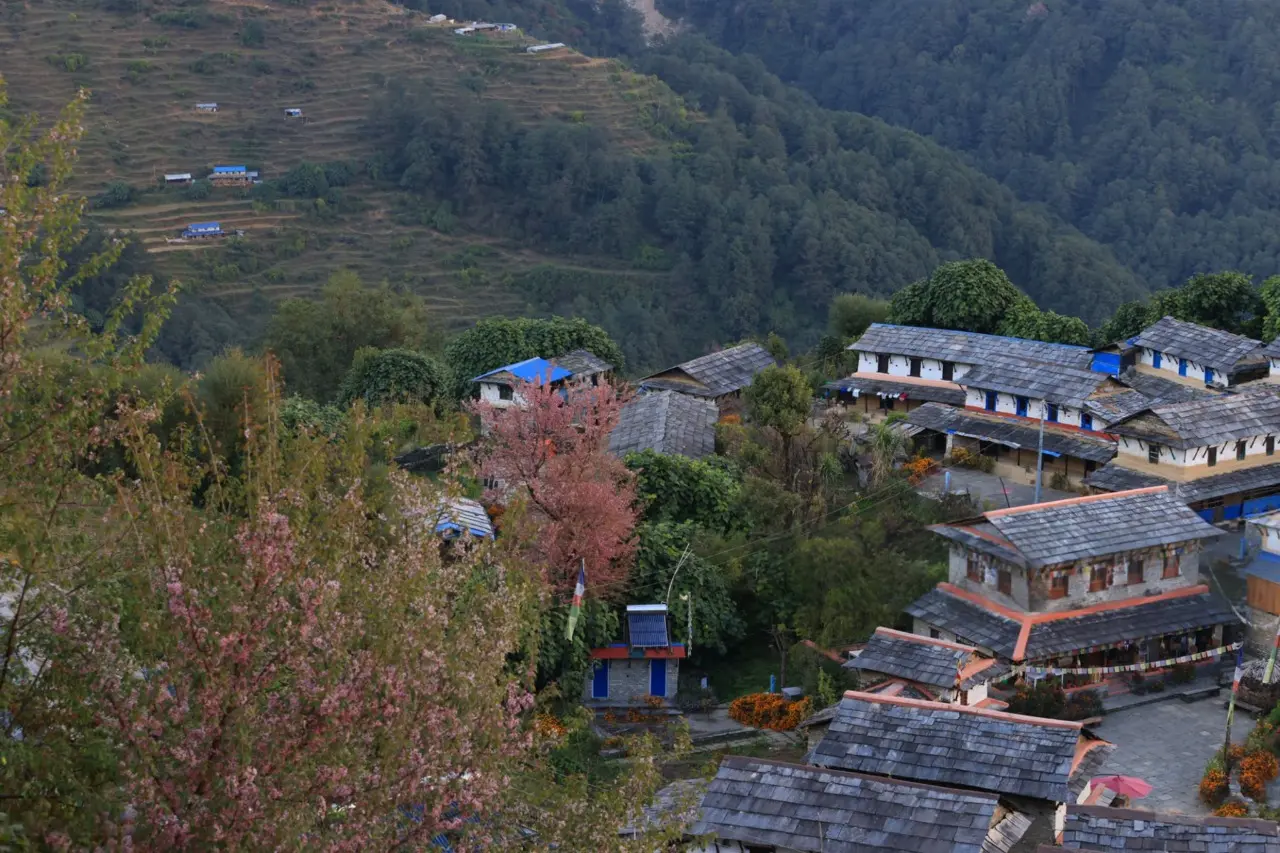 Trekking group crossing a suspension bridge over a river during the Poon Hill trek.