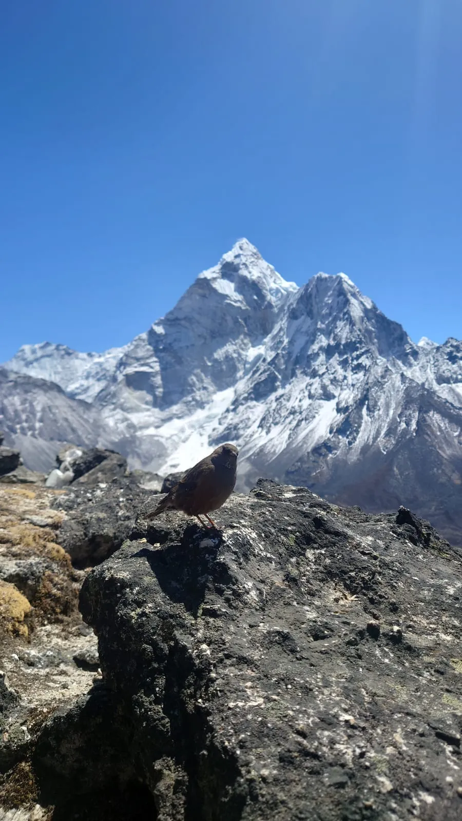 Acclimatization in Dingboche
