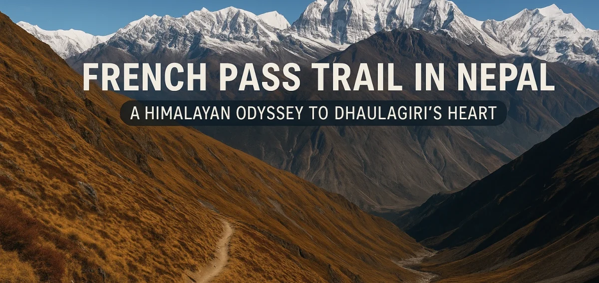 Scenic view of the French Pass Trail in Nepal with Dhaulagiri mountain in the background under a clear blue sky.