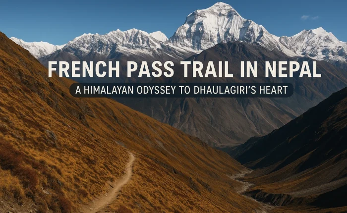 Scenic view of the French Pass Trail in Nepal with Dhaulagiri mountain in the background under a clear blue sky.