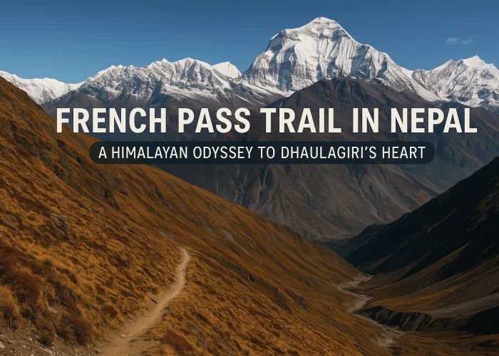 Scenic view of the French Pass Trail in Nepal with Dhaulagiri mountain in the background under a clear blue sky.