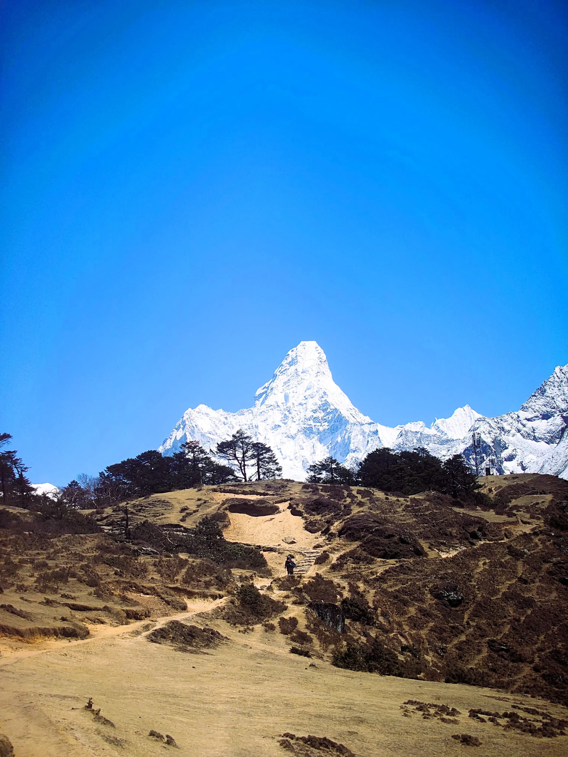 ama dablam expedition himalaya nepal