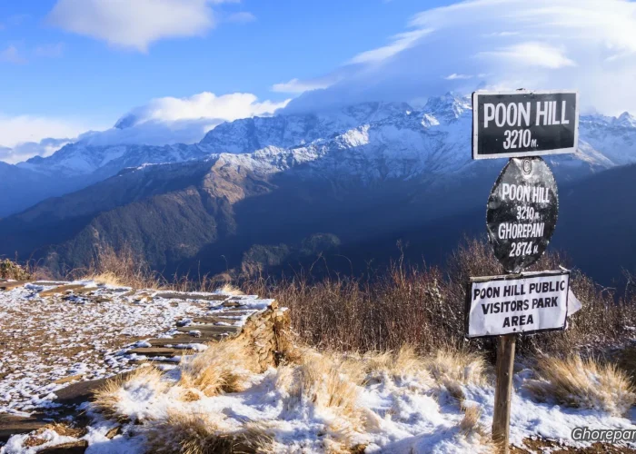 ghorepani poon hill trekking