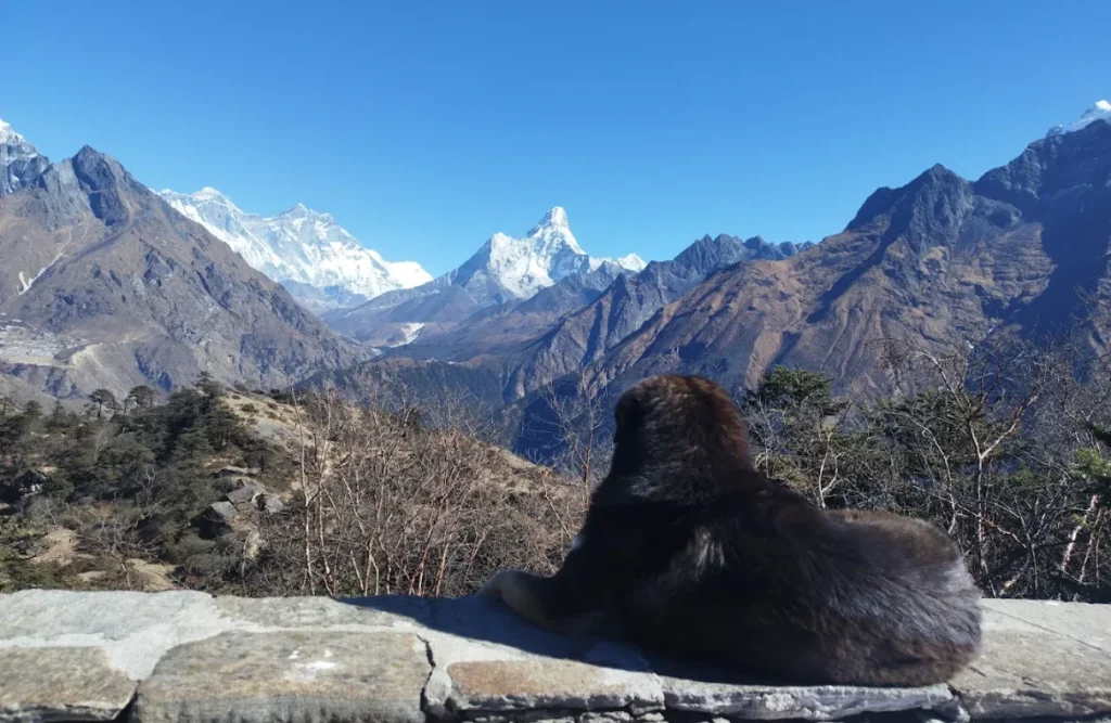 everest base camp luxury trek
