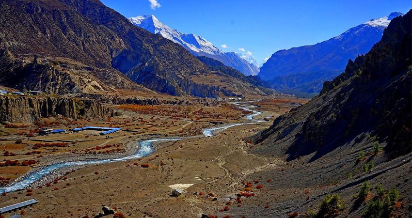 An overview of the Manang Valley in Nepal, featuring the snow-capped Annapurna peaks and the Marsyangdi River.