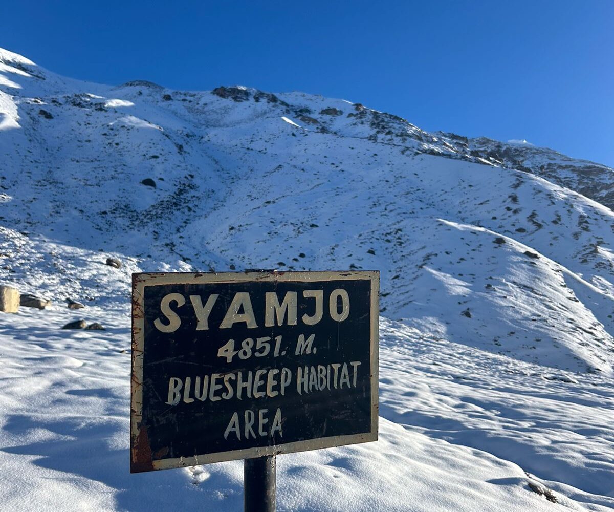 Kanchenjunga trek photo 38: View of Kanchenjunga, with its snow-covered summit
