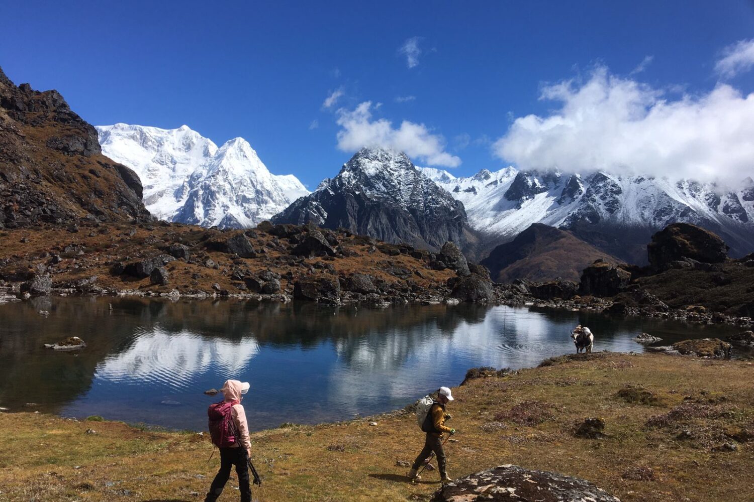 Kanchenjunga trek photo 63: Landscape photo of Kanchenjunga, in the Kanchenjunga range