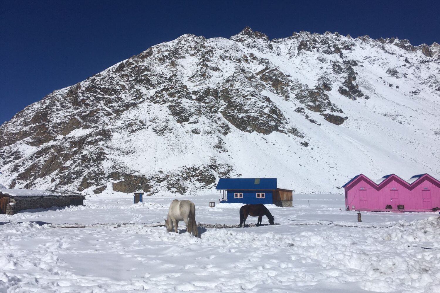 Kanchenjunga trek photo 69: View of Kanchenjunga, in the Kanchenjunga Conservation Area