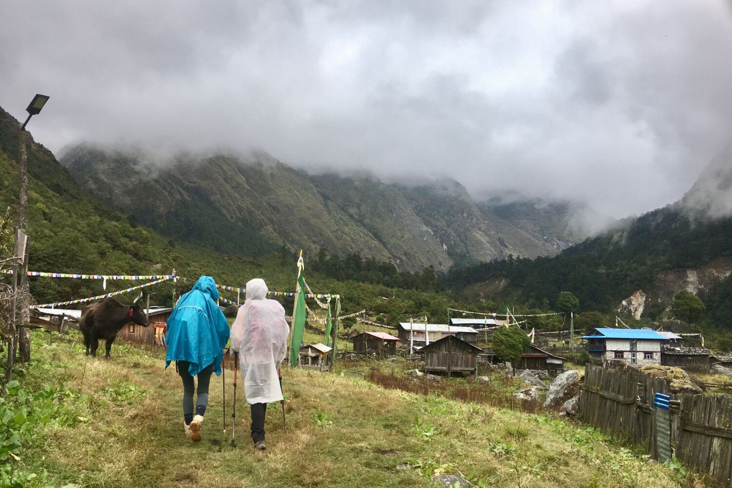 Kanchenjunga trek photo 77: Photo of Kanchenjunga, in the Kanchenjunga Conservation Area