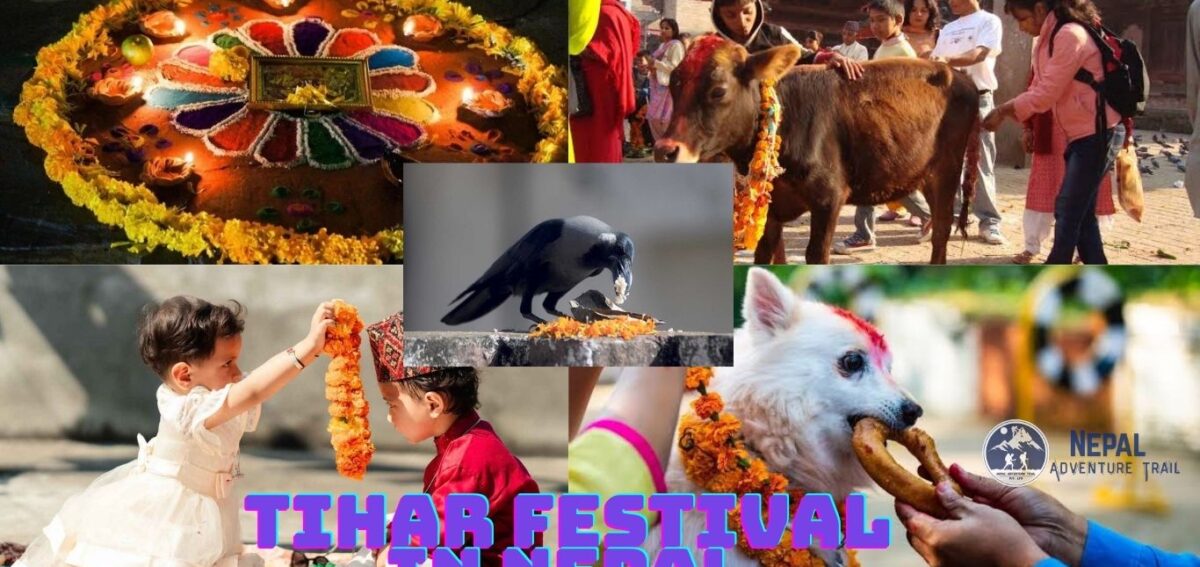 Tihar Festival A vibrant collage featuring illuminated Kathmandu streets and the traditional Bhaitika ceremony during the Tihar festival in Nepal.