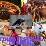 A vibrant collage featuring illuminated Kathmandu streets and the traditional Bhaitika ceremony during the Tihar festival in Nepal.