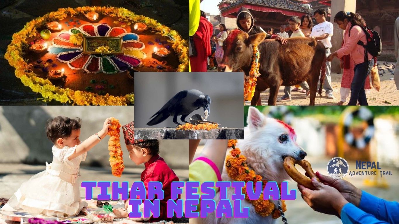 Tihar Festival A vibrant collage featuring illuminated Kathmandu streets and the traditional Bhaitika ceremony during the Tihar festival in Nepal.