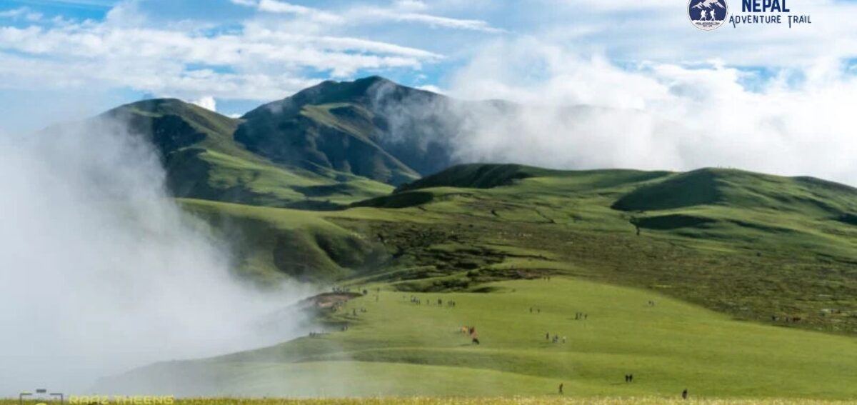 Badimalika Trek Sweeping panoramic views of the vast alpine meadows and sacred ridges along the Badimalika trek in Far-Western Nepal.
