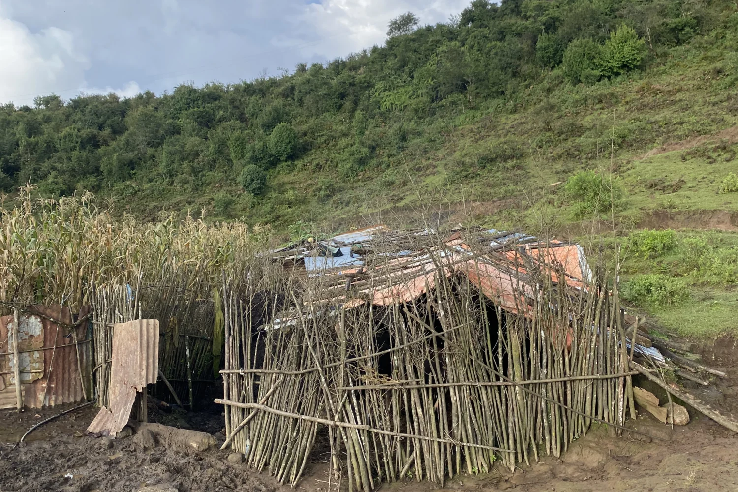 a small buffalo hut in mala vanjyang, rauchuli
