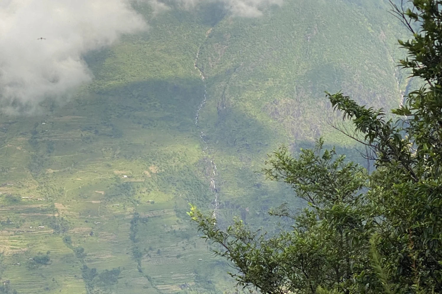 beautiful view during rauchuli trek
