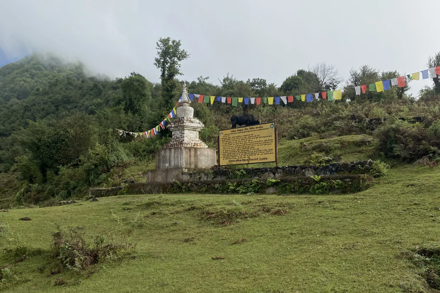 mala vanjyang, During rauchuli trek