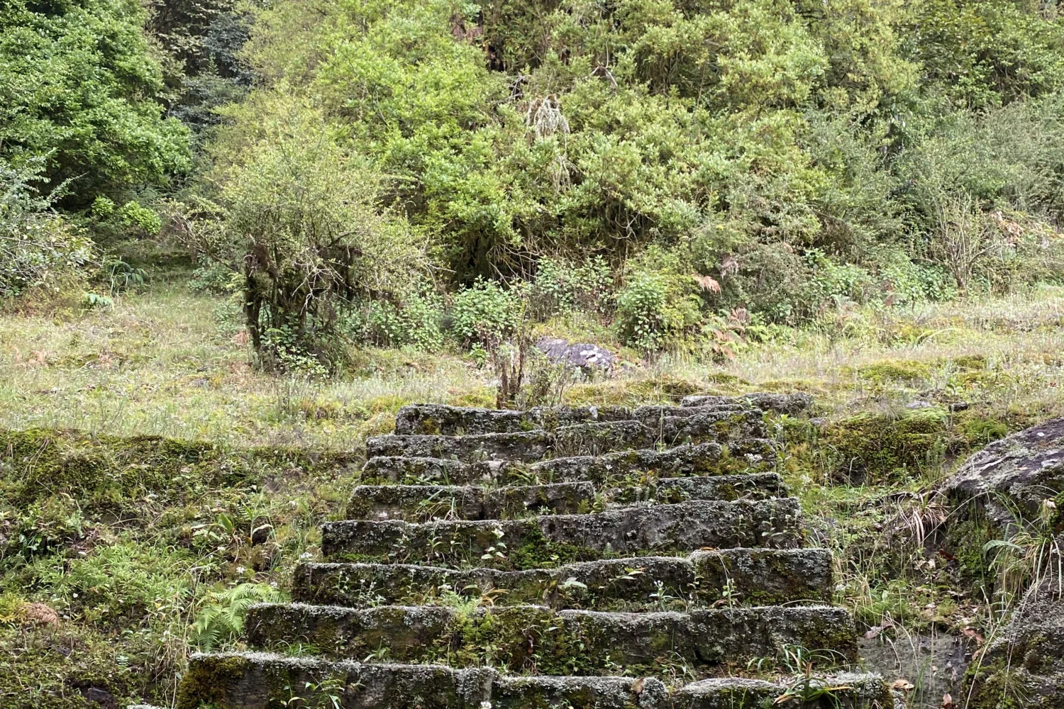 Trail to rauchuli trek from nuwakot