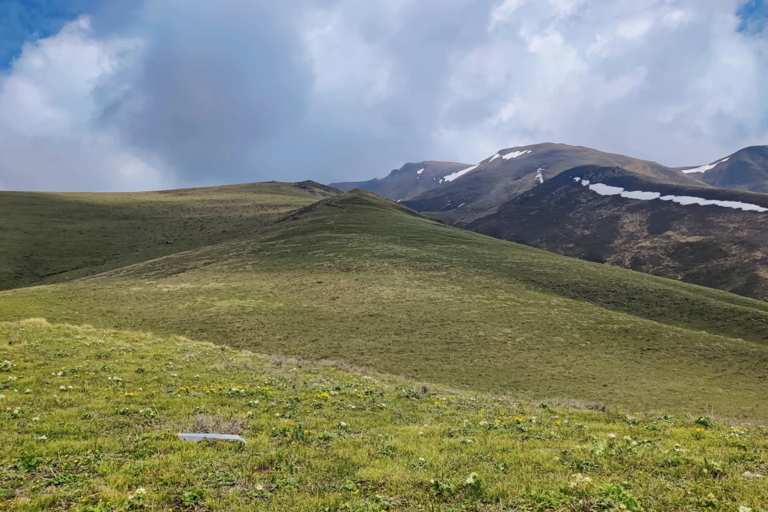 peace and green grassland, badimalika