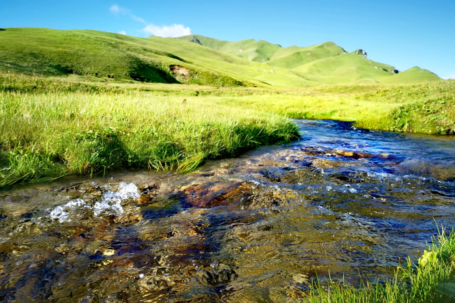 Badimalika, Green lands