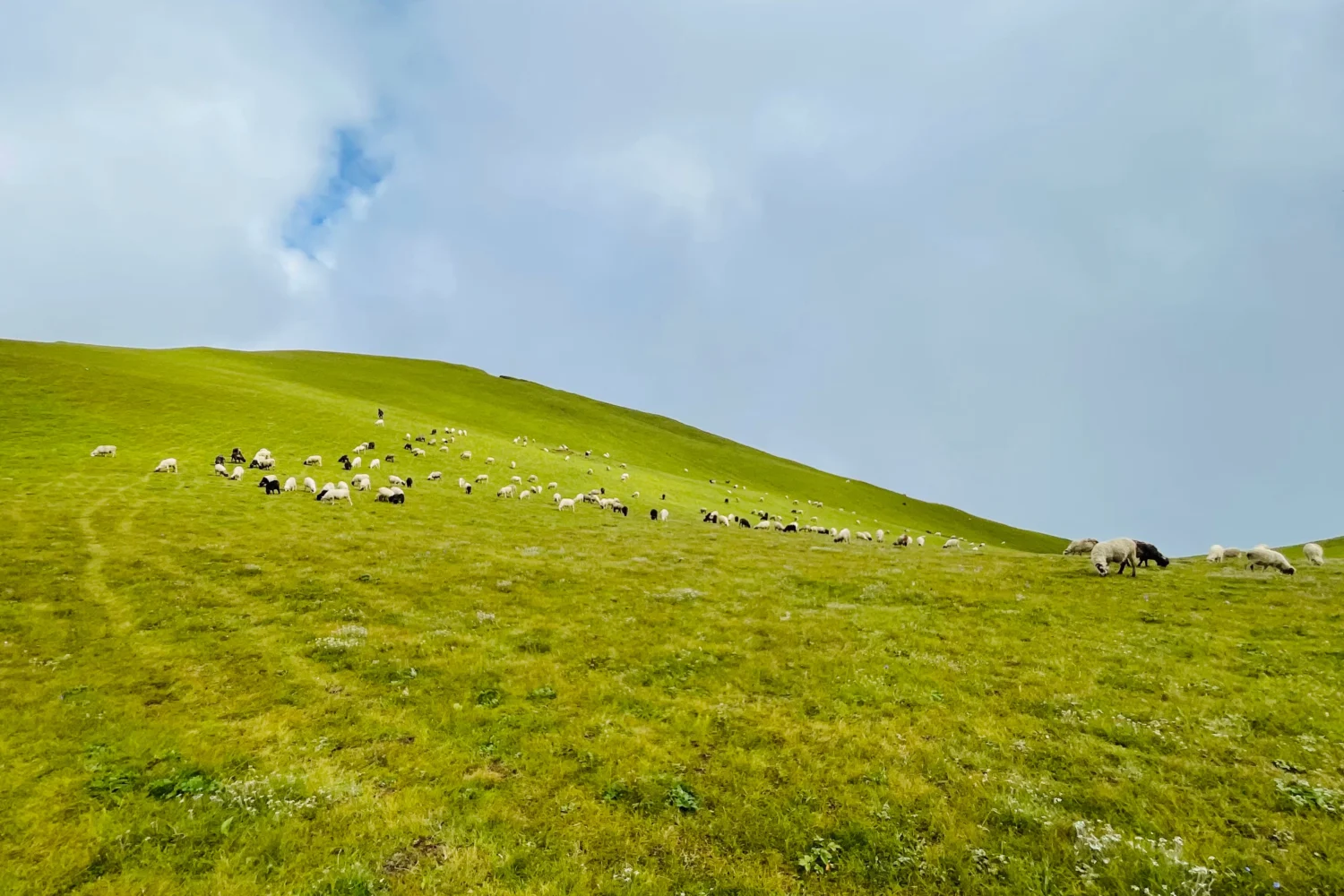 Beautiful greenery of badimalika