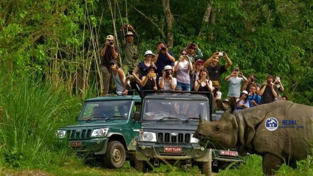 Chitwan National Park - A majestic One-horned Rhinoceros grazing in the tall elephant grass within the dense jungle landscape of the park in Nepal, with a wooden dugout canoe visible on the Rapti River in the background.